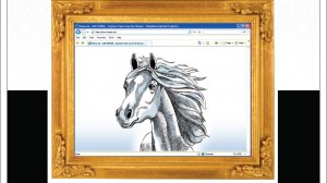 horse.ae horse.ae